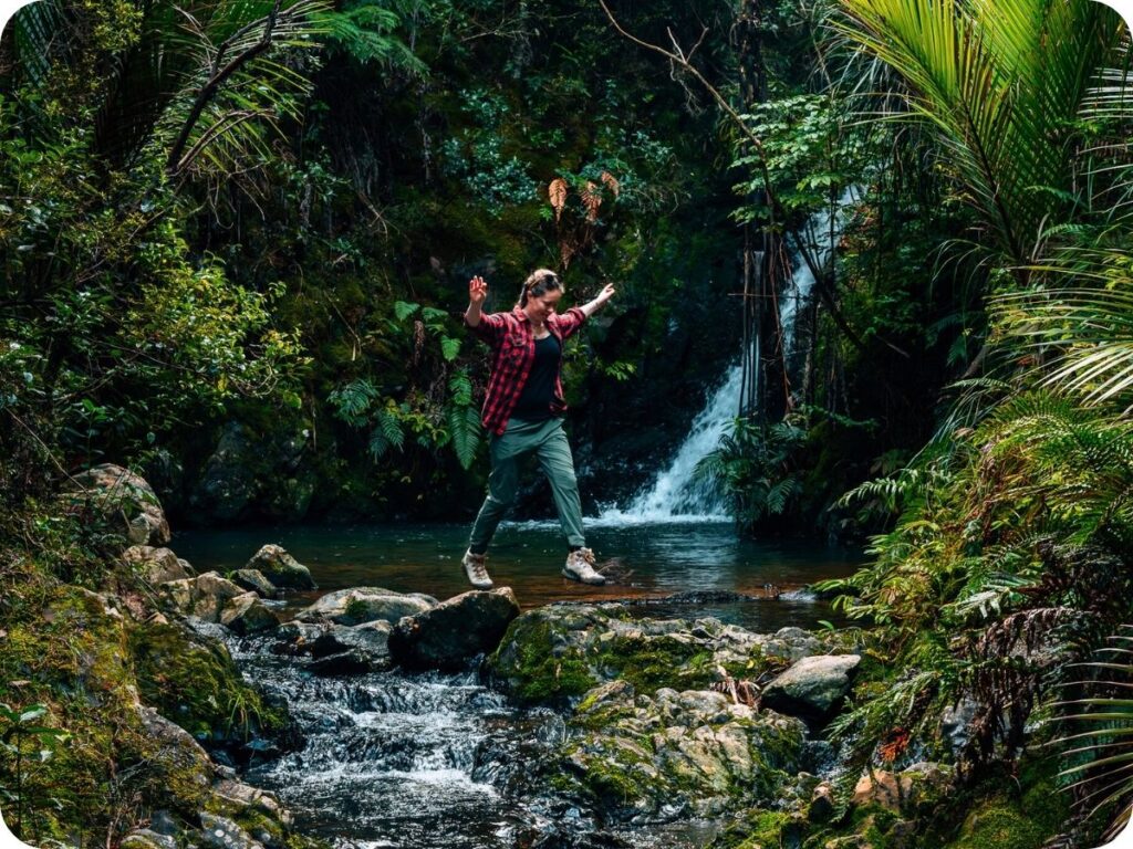 Northland Waterfalls - Tanekaha Waterfalls