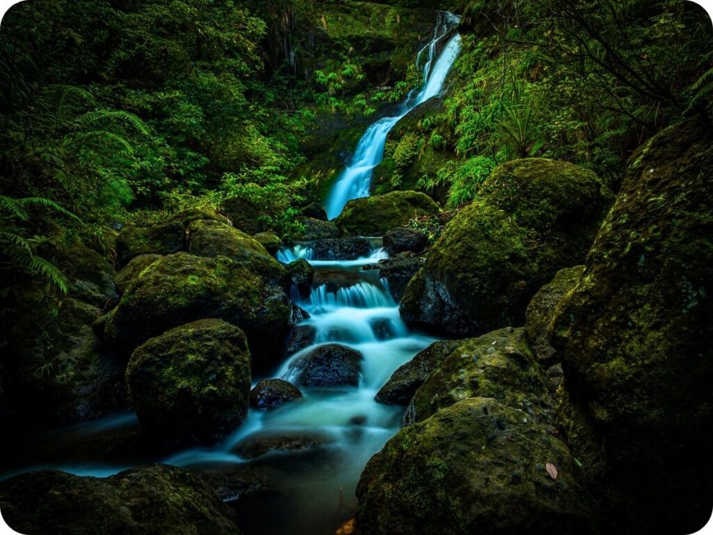 Northland Waterfalls - Waiotemarama Falls