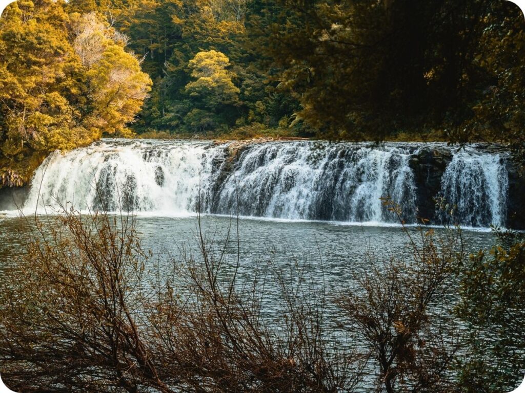 Northland Waterfalls - Wharepoke Falls