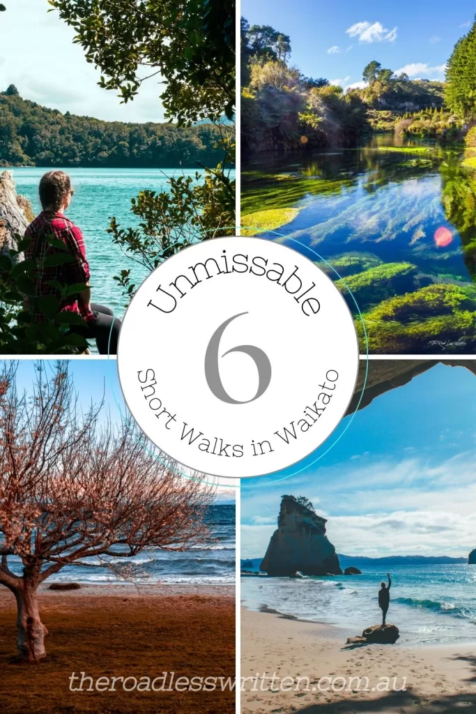 6 Unmissable Short Walks in Waikato