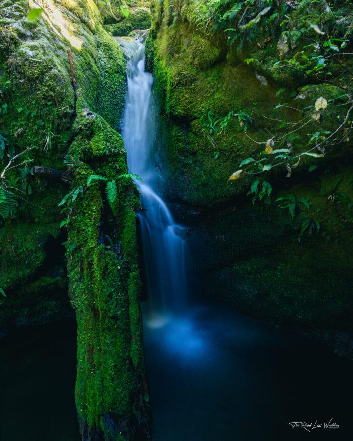 Elvy Waterfall Print