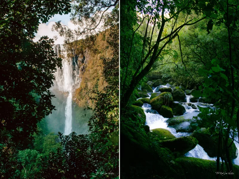 Best Waterfalls in Waikato - Wairere Falls near Matamata