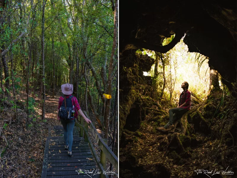 Rangitoto Island - Laval Caves