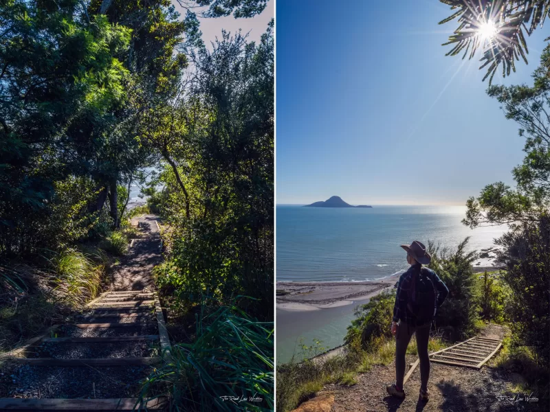 Footsteps of Toi - Kohi Point Lookout