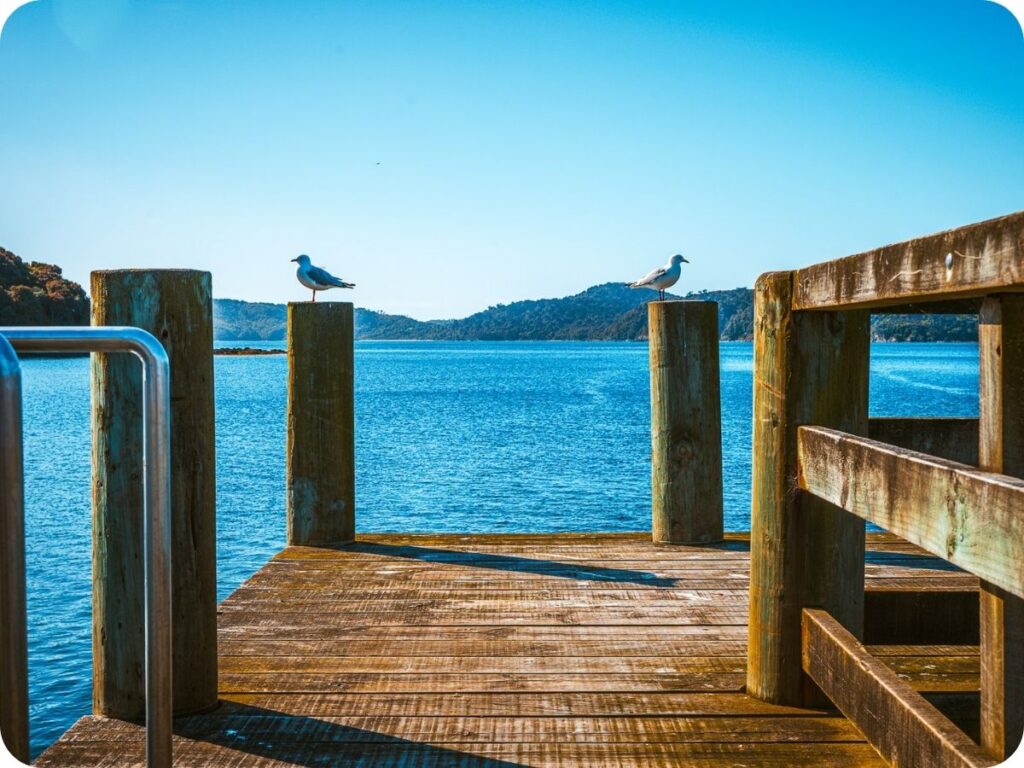Rakiura Track - Stewart Island Ferry