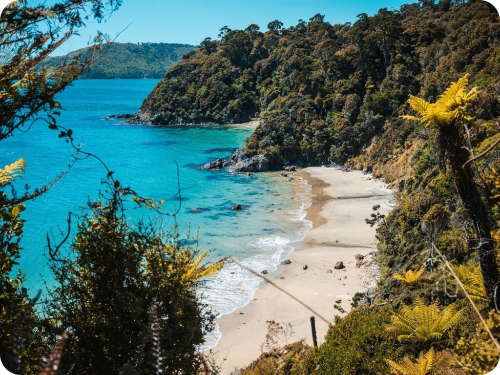 Rakiura Track - Maori Beach