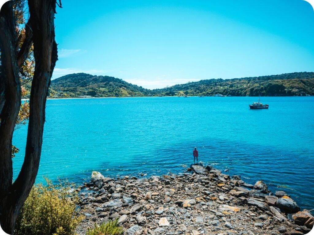 Rakiura Track - Horseshoe Bay