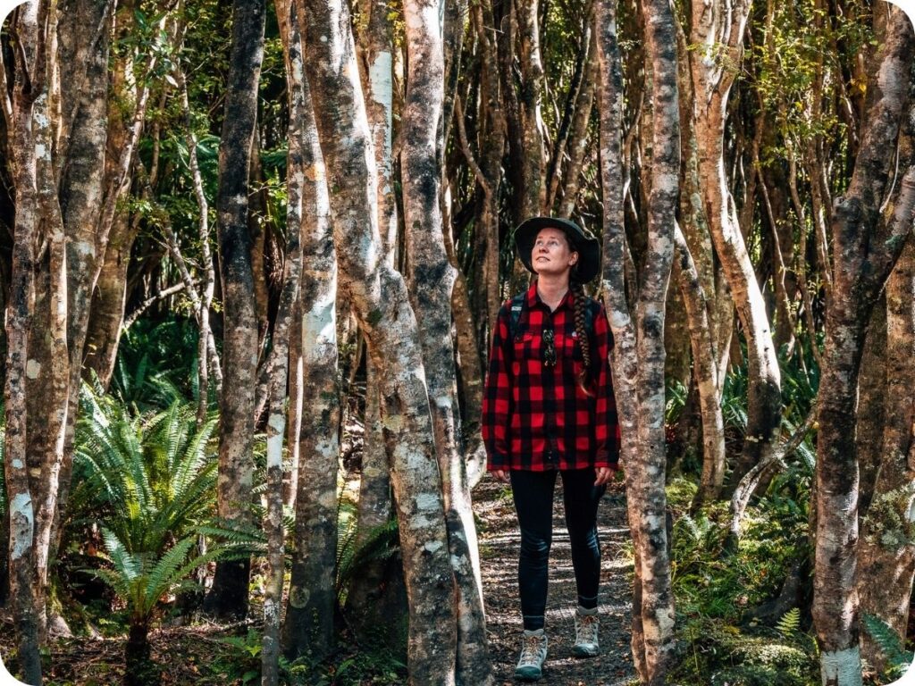 Rakiura Track - Port William