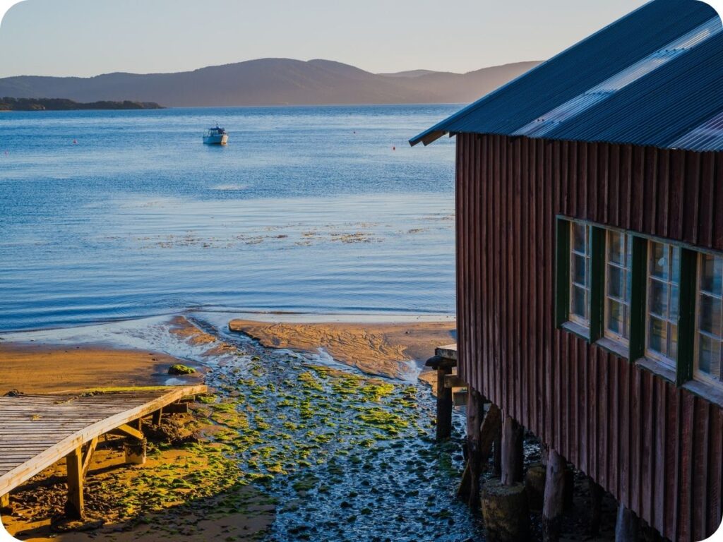 Rakiura Track - Oban