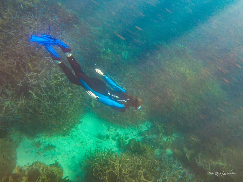 One of our favourite snorkelling hacks is wearing a wetsuit to stay as warm as possible