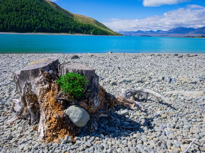 The impact of people who stack rocks has on the fresh water