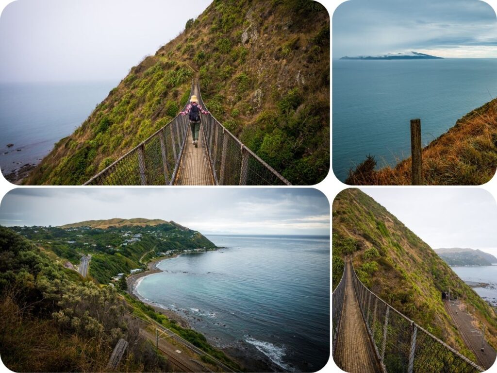 Things to do in Wellington - Paekakariki Escarpment track