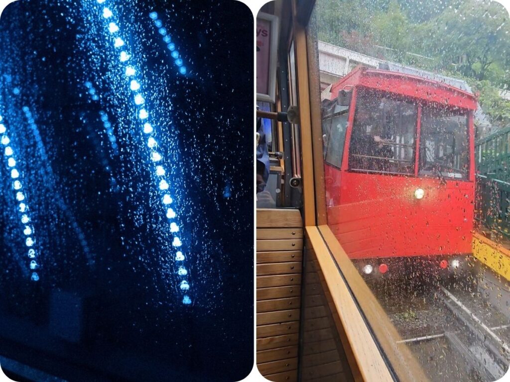 Things to do in Wellington - Wellington Cable Car