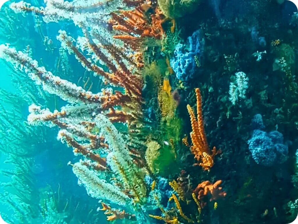 Top 10 Things To Do In Busselton & Surrounds - Underwater Observatory