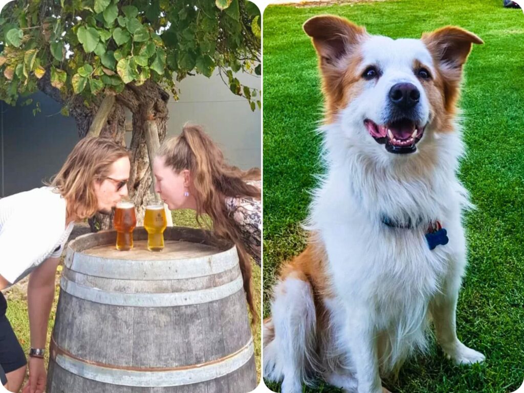 Top 10 Things To Do In Busselton & Surrounds - Breweries, Rocky Ridge Brewing Co
