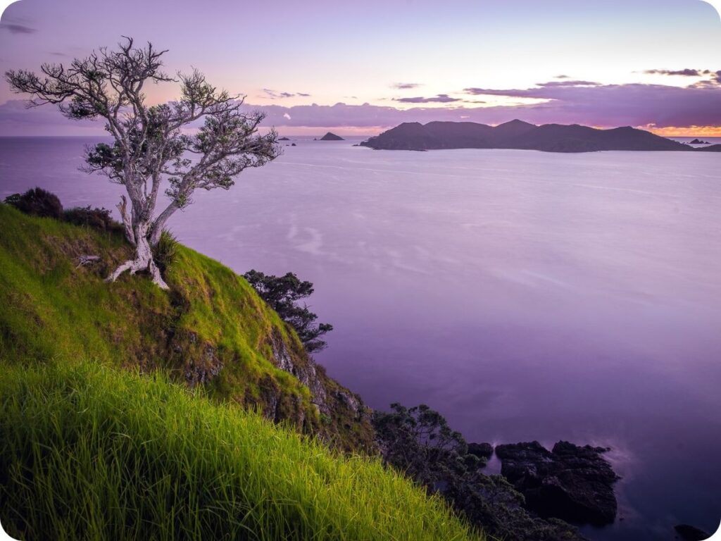 Things to do in Northland - Matauri Bay