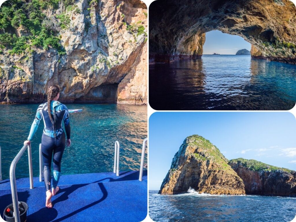 Things to do in Northland - Poor Knights Island Perfect Day Cruise with Dive Tutukaka