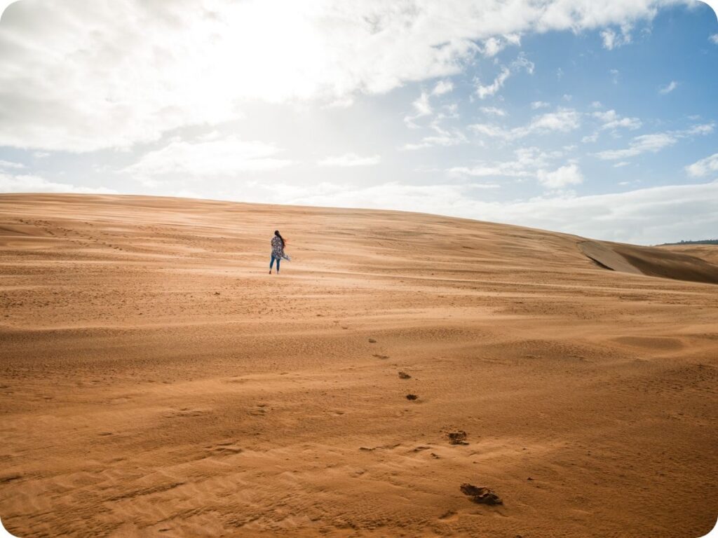 Things to do in Northland - Te Paki Sand Dunes