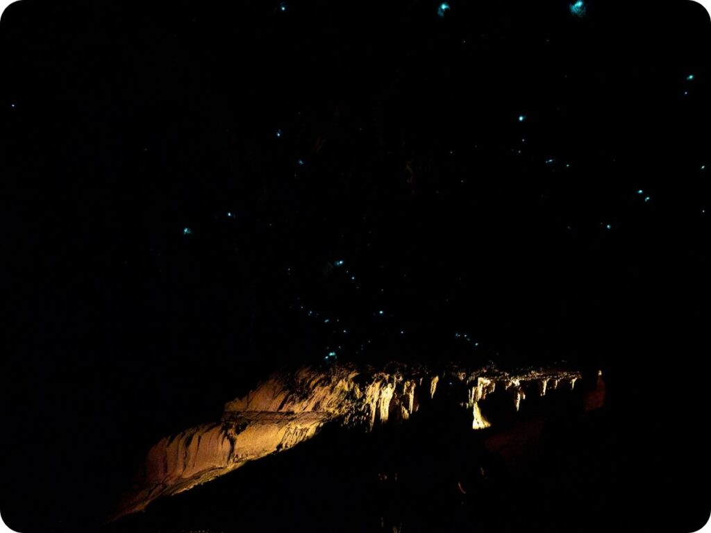 Things to do in Northland - Waipu Caves