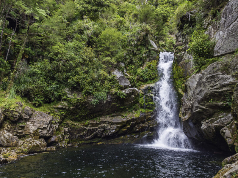 Best Short Walks in Nelson/Tasman - Wainui Falls