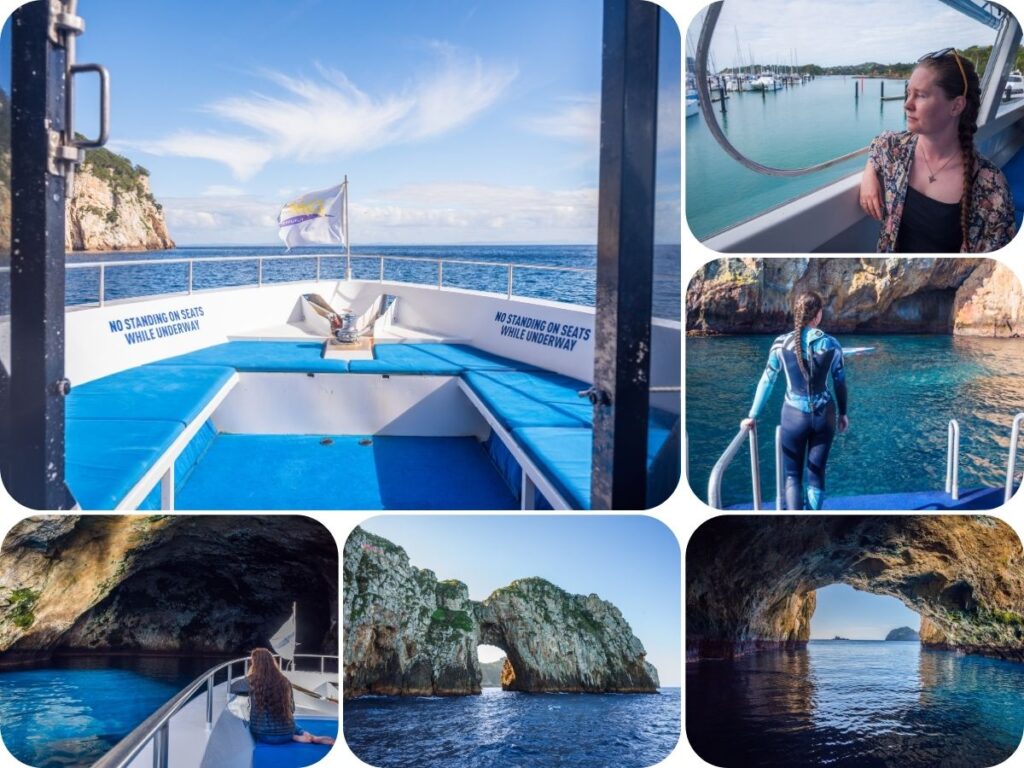 Wildlife Encounters in Aotearoa New Zealand - Perfect Day Cruise with Dive! Tutukaka on Poor Knights Island